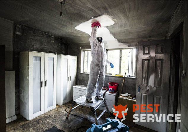 Профессиональная уборка помещений после пожара в  Санкт-Петербурге от 2500 руб: удаление сажи, копоти и запаха гари, глубокая очистка поверхностей и восстановление чистоты. Быстро, безопасно и эффективно.